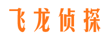 富拉尔基侦探公司